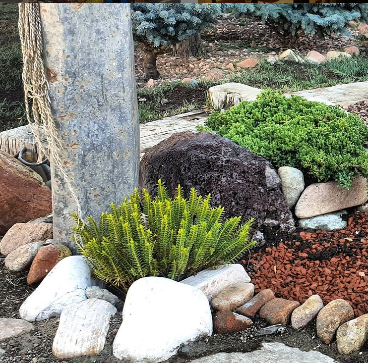 ÇAKILLI PEYZAJ UYGULAMAMIZ